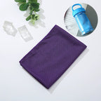 💝Buy 1 Get 1 Free🔥Absorbent Quick-Drying Gym Cooling Towels