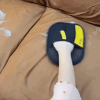 🎁Today's Specials⏳Pet hair removal glove for cat and dog